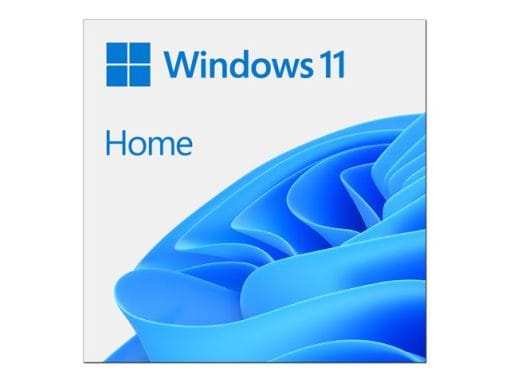 Microsoft Windows 11 Home FPP