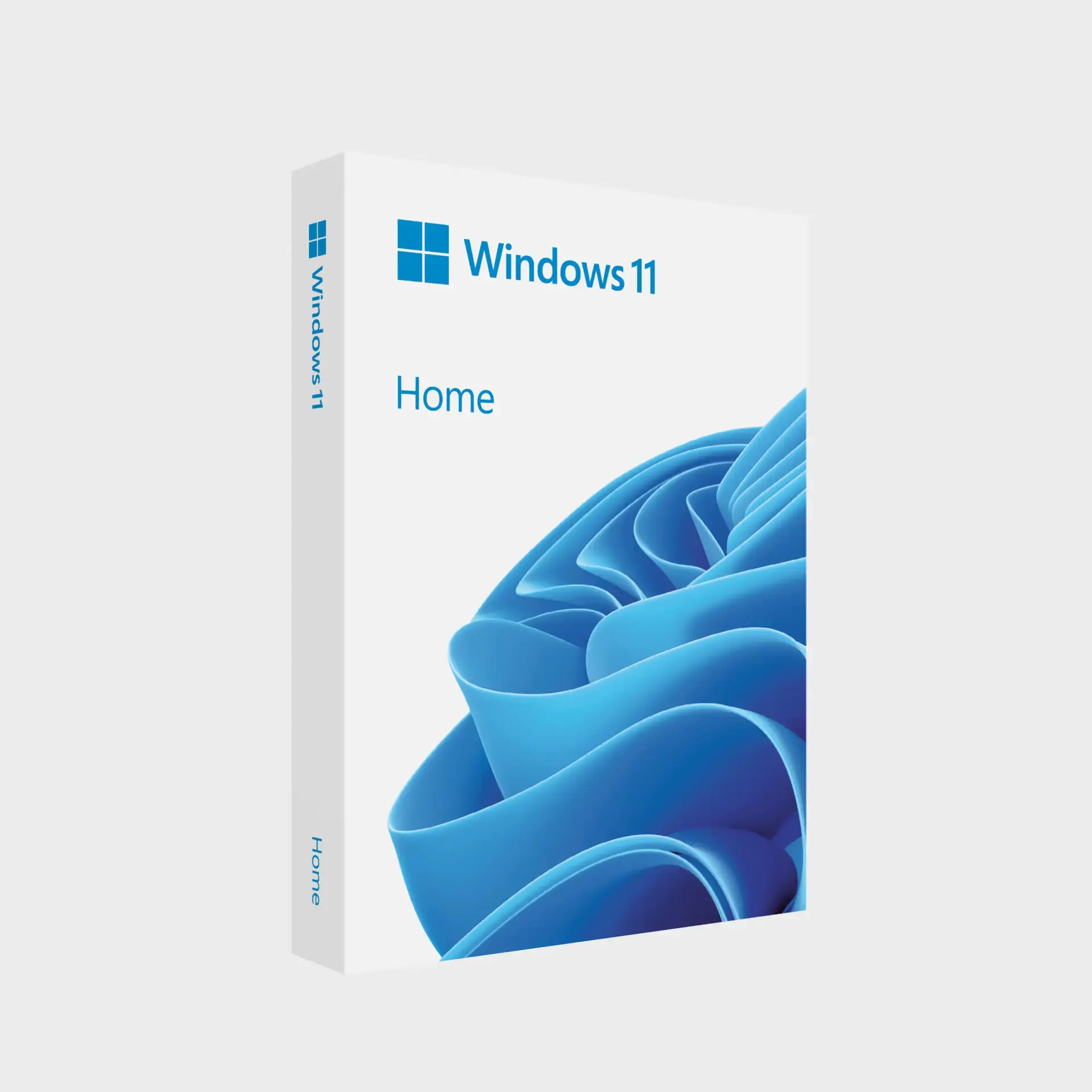 Microsoft Windows 11 Home